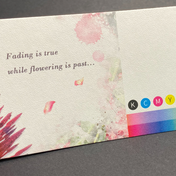 細節_17.細紋紙220.jpg 細節_17.細紋紙220.jpg